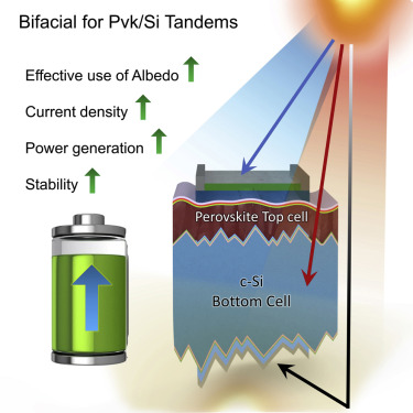 Bifacial perovskite/silicon tandem solar cells